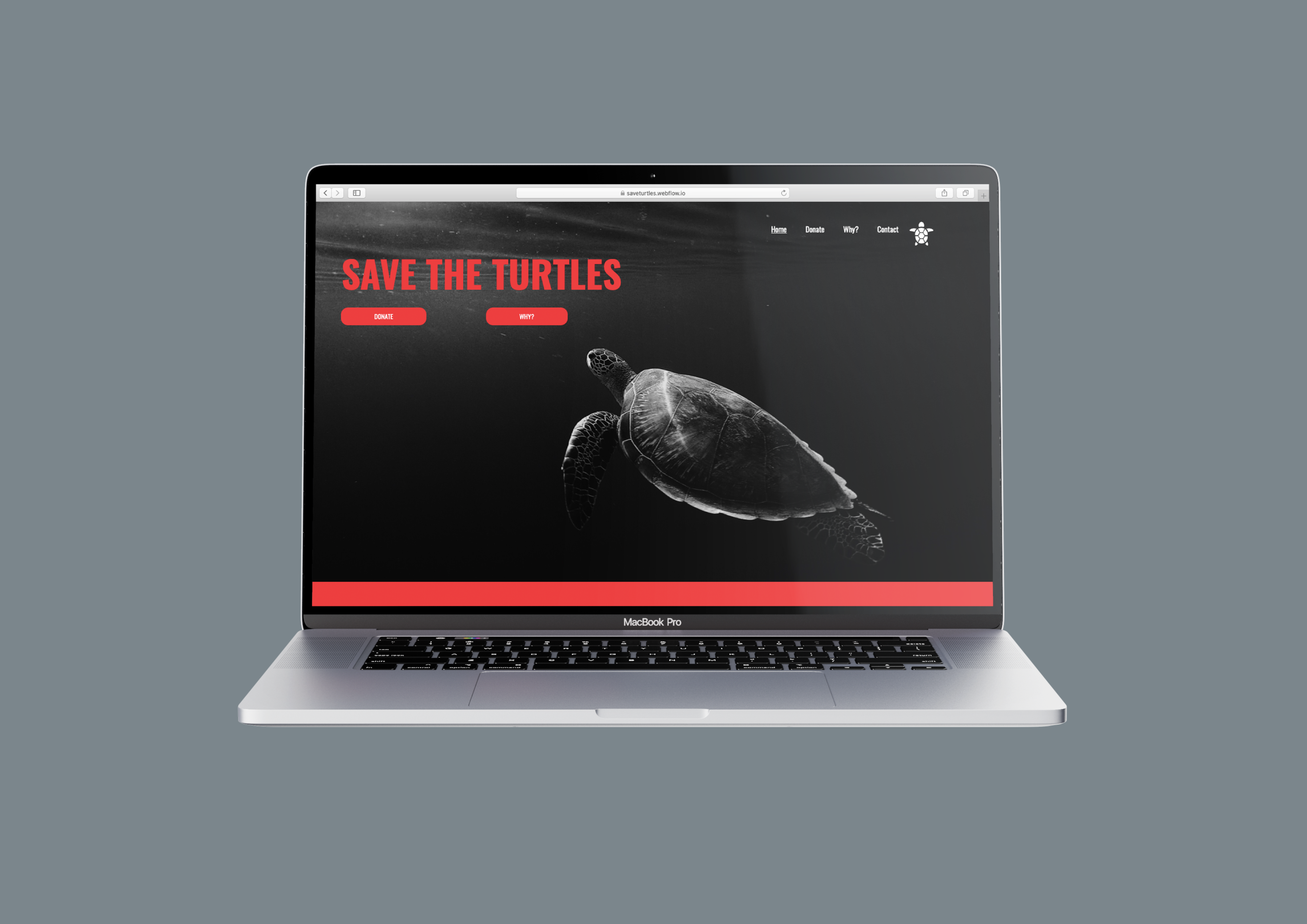Save the turtles
